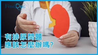 男性有泌尿問題，一定關前列腺事？－王明晧泌尿外科專科醫生＠FindDoc.com