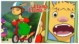 Llama Llama Enters the Race and Loses a Tooth