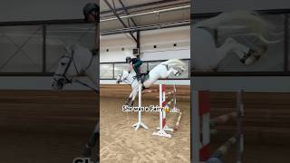 She was a fairy ctto:rostova #horse #equestrian #horseriding #viralshorts #trending #fyp #amazing