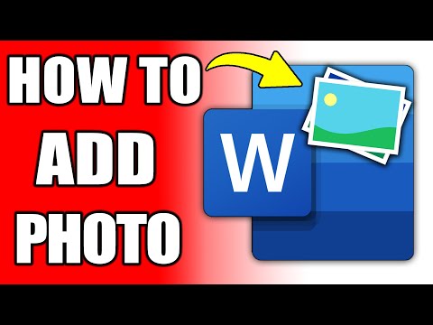 How To Add Photo In Word Document (Easy)