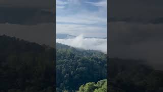 早上6點多南投松柏嶺受天宮美景