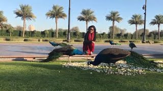 | Hawa Ka Chadar | #Madhushree | #New |