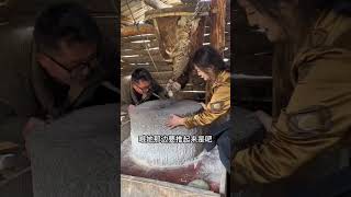 使用傳統的水磨坊，感覺過去的藏族人民真的不容易#王一點 #美女 #艷遇 #shorts