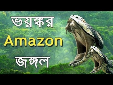 আমাজন জঙ্গল I পৃথিবীর সবচেয়ে রহস্যময় স্থান I Amazon jungle mystery I amazon forest bangla I Part -1