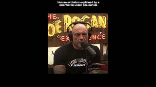 The theory of evolution explained in under one minute by Stephen C. Meyer on Joe Rogan podcast 😳