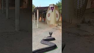 Shiv tandav stotram | Hara hara shiv sambhu #shorts #shortvideo #vfx
