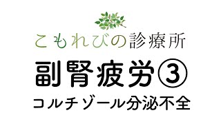 【こもれびの診療所】副腎疲労③ コルチゾール分泌不全