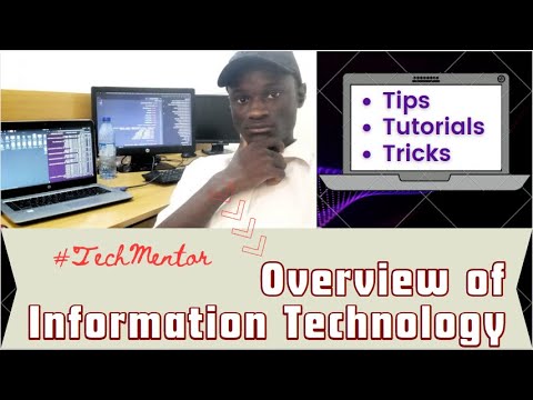 How To Become An Information Technology Professional With This Basic Tips