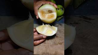 palm cutting skills at village (part-392)#shorts #satisfying #fruit
