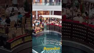 穷游富国🇸🇬新加坡金沙购物广场Singapore Sands #travel #acousticmonday #Singapore Sands