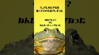 クスッと笑える蛙化10選🐸 #蛙化現象 #プチ知識 #彼氏 #shorts