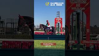 【競馬】中山大障害(2023年)　返し馬　現地映像【マイネルグロン】【ニシノデイジー】【エコロデュエル】【中山競馬場】【障害レース】#shorts