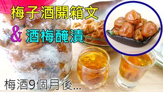 酸甜好喝梅子酒開箱文/酒梅再醃漬/每年4月清明節前後是梅子產季喔! 梅子醃漬/梅酒作法