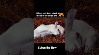 Top 10 About Amezing animals facts  #facts #sciencefacts #science  #amezingfactsaboutanimalsfact
