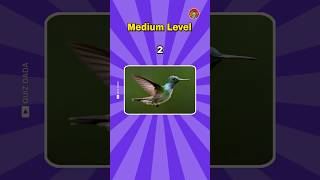 Guess the Bird in 3 Seconds #shorts #quiz #birds