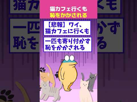 【2ch面白】ワイ、猫カフェ行くも一匹も寄り付かず恥をかかされる