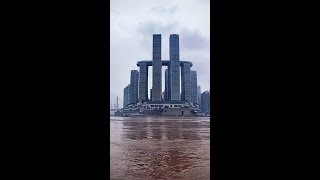 洪峰过境，长江重庆朝天门段水位明显上涨！大量树木、杂草及废弃物顺流而下
