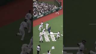 今年のこれのこの瞬間、結構好きです😊 #seibulions #埼玉西武ライオンズ