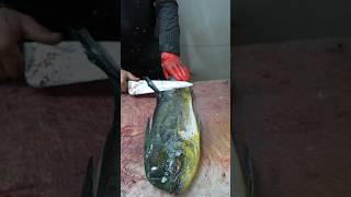 Mahi Mahi Cleaning & Filleting – Watch Me Prep This Dolphin Fish Like a Pro!