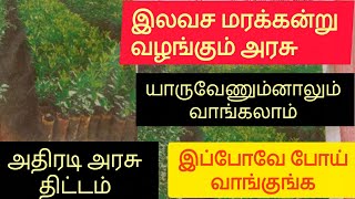 இலவச மரக்கன்று அனைவருக்கும் - புது அரசு திட்டம் - முழு விவரங்கள் || #tree #seedlings #tngovt #nature
