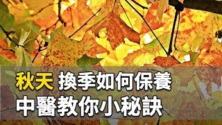 天氣開始變冷，秋天換季必須保養身體，中醫教你小秘訣｜ 吳建東 醫師｜473｜談古論今話中醫｜中醫知識CooL
