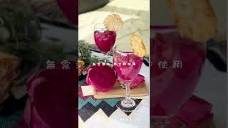 甘味果物-冷凍果肉、水果乾