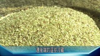 《村民大會》EP726預告：停灌的省思