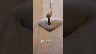 船锚是怎么固定万吨轮船的？ #科普 #知识 #冷知识