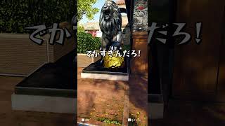 激レアな隠れ方 #shorts  #prophunt #かくれんぼ #cod