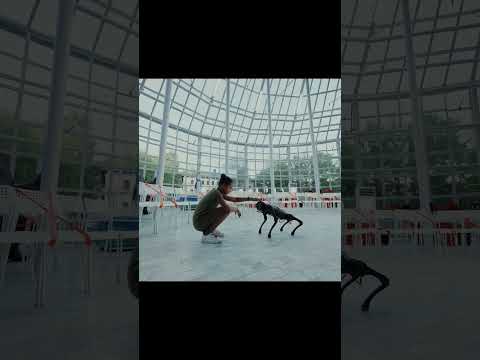Robotics