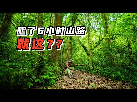 毒蛇出没的贵州深山，徒步6小时才能到达的原始森林秘境，这风景值吗？