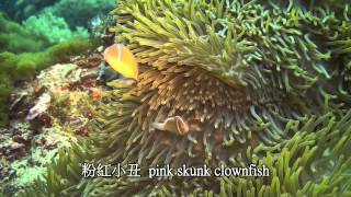 2014.05清明節 綠島 台灣高技   greenisland Taiwan