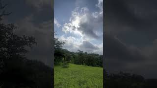 #nature #love #music