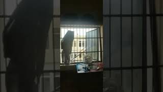 Fani Cyclone Damanged Full Window, Odisha ,  India. Kiit Hostel