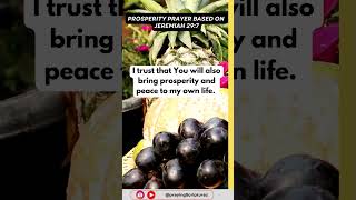 Peace and Prosperity Prayer According to Jeremiah 29:7 #praywithus #motivation #motivation