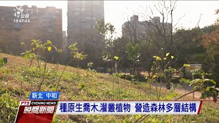 種原生喬木與灌叢植物營造森林結構 新北4號公園與林試所展開實驗 20210208 公視晚間新聞