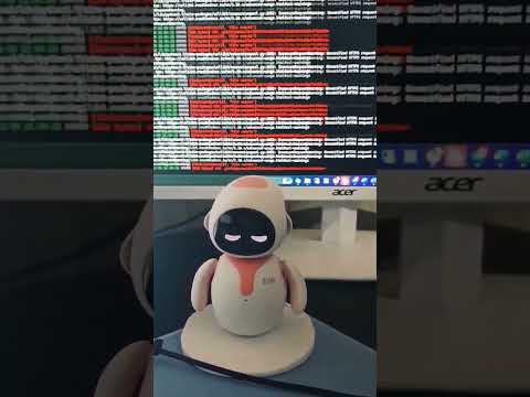 Eilik Robot