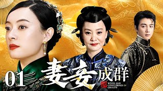 【好看的电视剧】妻妾成群 01 | 宅门妻妾斗，恩怨情仇何时了（孙俪 / 刘雪华 / 陈晓）