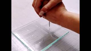 Windscreen Protection Film Demonstration
