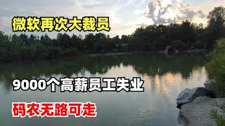 微软再次大裁员。9100个高薪员工失去工作，码农无路可走