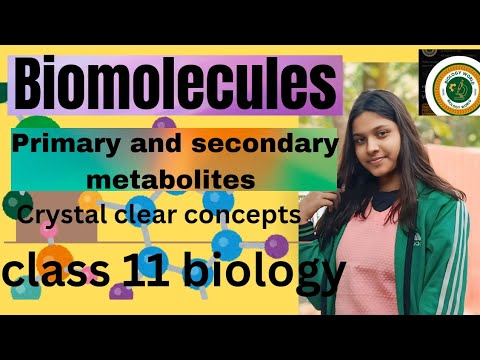 primary and secondary metabolites l Biomolecules LEC 03 class 11 biology. Biology World
