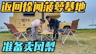 房车旅行返回徐闻，参观菠萝基地，准备卖凤梨，晚上又发现新夜市【家和远方的旅行】