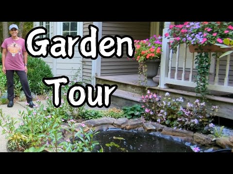 Garden Tour Zone 5 🌻 September 2024 Late Summer