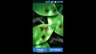Tap Leaves Live Wallpaper v2.0