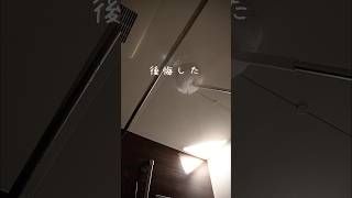 最強を見つけた🥹✊🏻 #お風呂掃除 #大掃除 #bathroom 詳細は概要欄へ