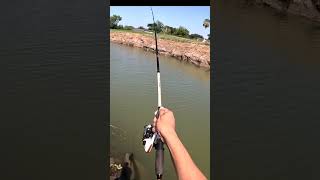 How to cast a spinning reel #fishing #bassfishing #outdoors #shorts #howto