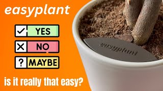 What to know about Easyplant self-watering pots - My experience with easyplant
