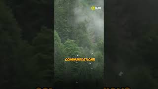 Ultimate Anti Drone Defense!