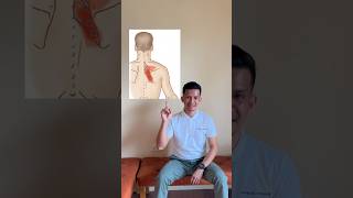 Back pain relief in seconds 🤩🤩🤩 #rhomboids #scapularpain #backpain