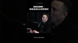 馬斯克喜歡狗狗幣不是沒有原因的